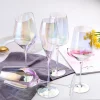 Rainbow Champagne Wine Glasses